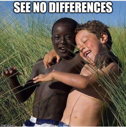black and white | SEE NO DIFFERENCES | image tagged in black and white | made w/ Imgflip meme maker