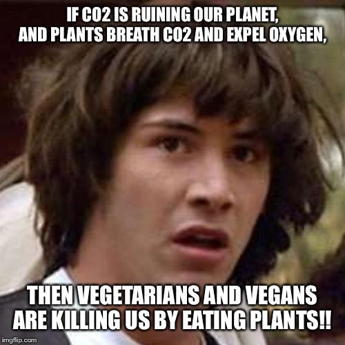 whoa | IF CO2 IS RUINING OUR PLANET, AND PLANTS BREATH CO2 AND EXPEL OXYGEN, THEN VEGETARIANS AND VEGANS ARE KILLING US BY EATING PLANTS!! | image tagged in whoa | made w/ Imgflip meme maker