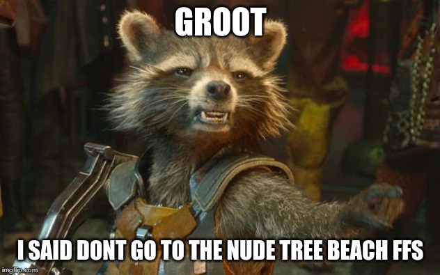 Rocket Raccoon | GROOT I SAID DONT GO TO THE NUDE TREE BEACH FFS | image tagged in rocket raccoon | made w/ Imgflip meme maker