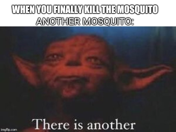 yoda there is another | WHEN YOU FINALLY KILL THE MOSQUITO; ANOTHER MOSQUITO: | image tagged in yoda there is another | made w/ Imgflip meme maker