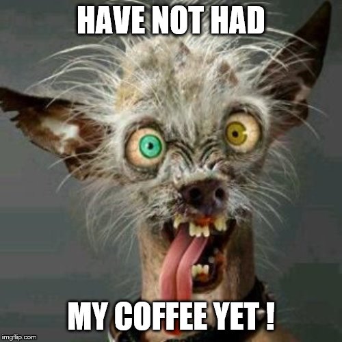 Coffee ! | HAVE NOT HAD; MY COFFEE YET ! | image tagged in cute puppies | made w/ Imgflip meme maker