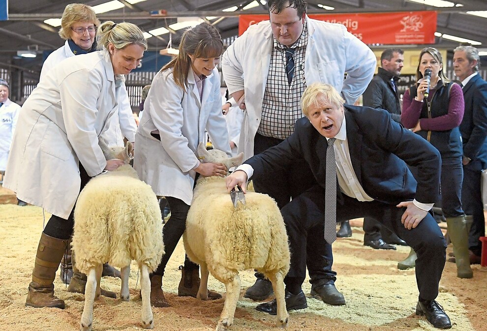 BORIS SHEEP Blank Meme Template