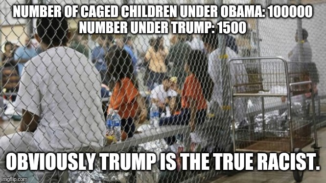 Black prez cant be racist | NUMBER OF CAGED CHILDREN UNDER OBAMA: 100000
NUMBER UNDER TRUMP: 1500; OBVIOUSLY TRUMP IS THE TRUE RACIST. | image tagged in stupid liberals,and then i said obama,maga,special kind of stupid,democrats,human stupidity | made w/ Imgflip meme maker