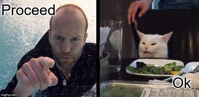 Jason Statham vs. The Cat Blank Meme Template