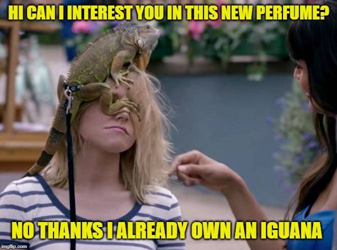 works with or without an actual iguana | HI CAN I INTEREST YOU IN THIS NEW PERFUME? NO THANKS I ALREADY OWN AN IGUANA | image tagged in just a joke | made w/ Imgflip meme maker