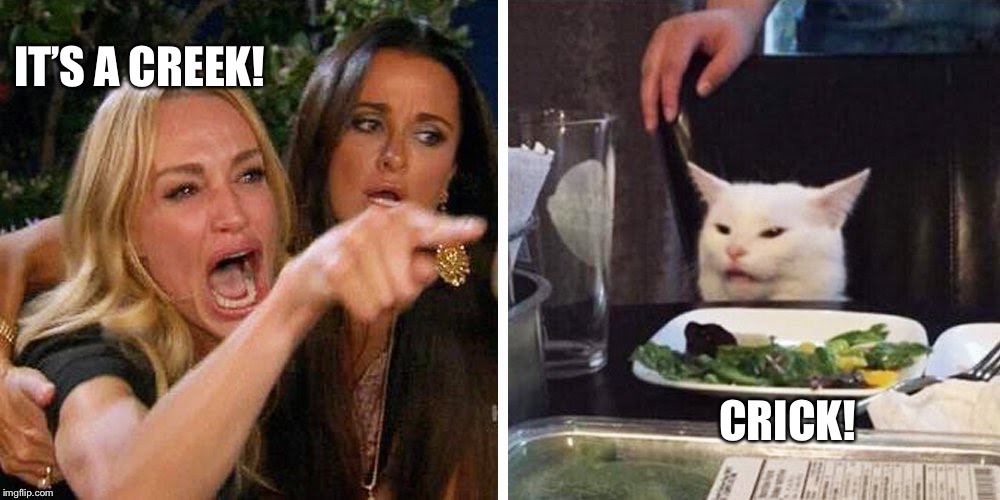 Smudge the cat | IT’S A CREEK! CRICK! | image tagged in smudge the cat | made w/ Imgflip meme maker