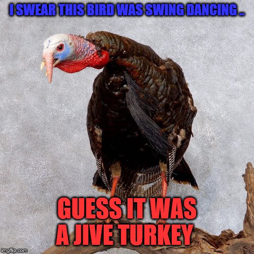 Happy Thanksgiving flippers | I SWEAR THIS BIRD WAS SWING DANCING .. GUESS IT WAS A JIVE TURKEY | image tagged in jive turkey | made w/ Imgflip meme maker