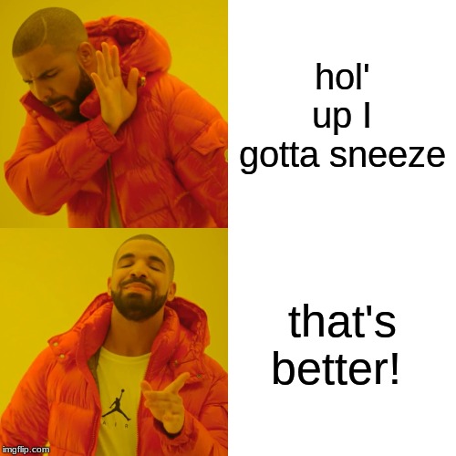 Drake Hotline Bling | hol' up I gotta sneeze; that's better! | image tagged in memes,drake hotline bling | made w/ Imgflip meme maker