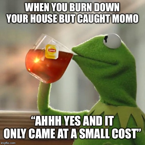 But That's None Of My Business | WHEN YOU BURN DOWN YOUR HOUSE BUT CAUGHT MOMO; “AHHH YES AND IT ONLY CAME AT A SMALL COST” | image tagged in memes,but thats none of my business,kermit the frog | made w/ Imgflip meme maker