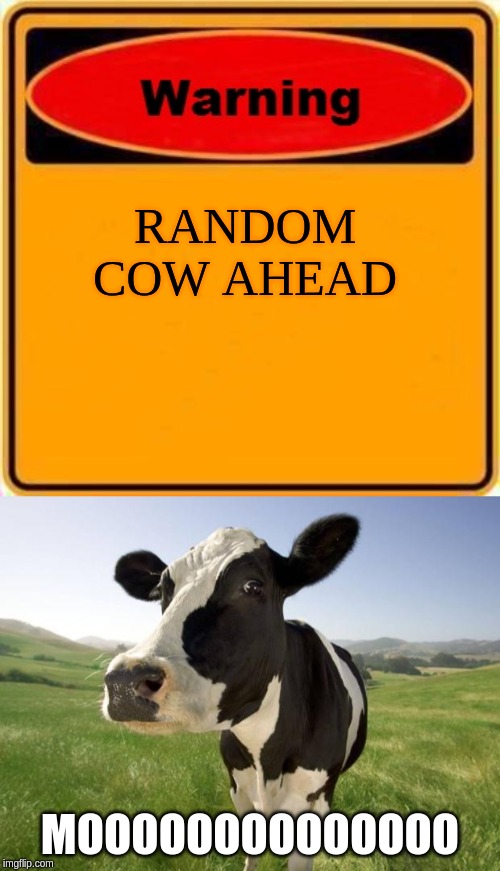 RANDOM COW AHEAD; MOOOOOOOOOOOOOO | image tagged in memes,warning sign,cow | made w/ Imgflip meme maker