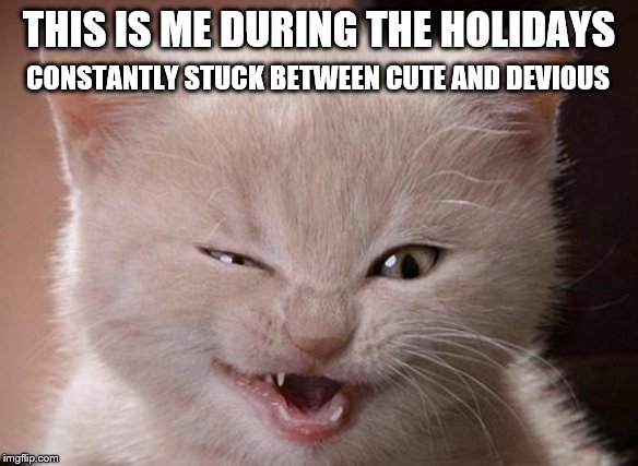 Mischief cat | THIS IS ME DURING THE HOLIDAYS; CONSTANTLY STUCK BETWEEN CUTE AND DEVIOUS | image tagged in cats | made w/ Imgflip meme maker