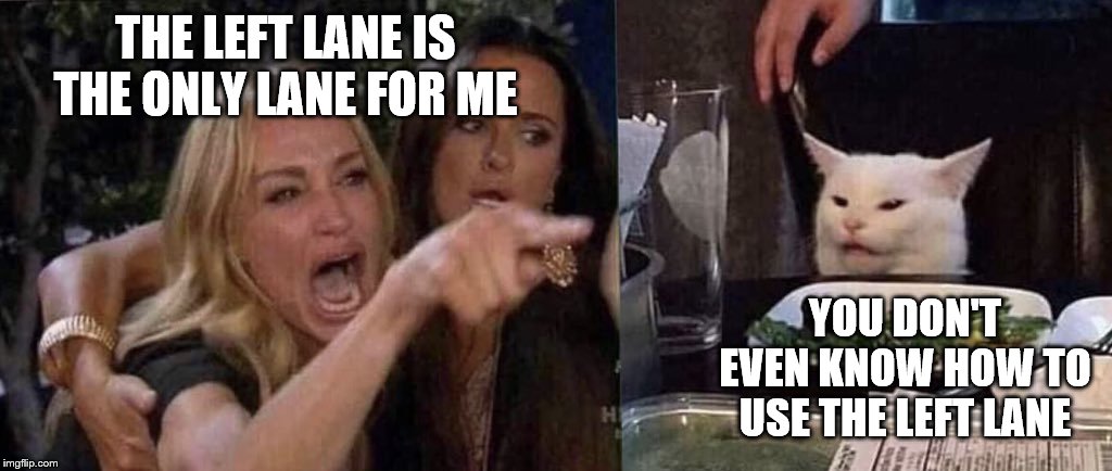 woman yelling at cat | THE LEFT LANE IS THE ONLY LANE FOR ME; YOU DON'T EVEN KNOW HOW TO USE THE LEFT LANE | image tagged in woman yelling at cat | made w/ Imgflip meme maker