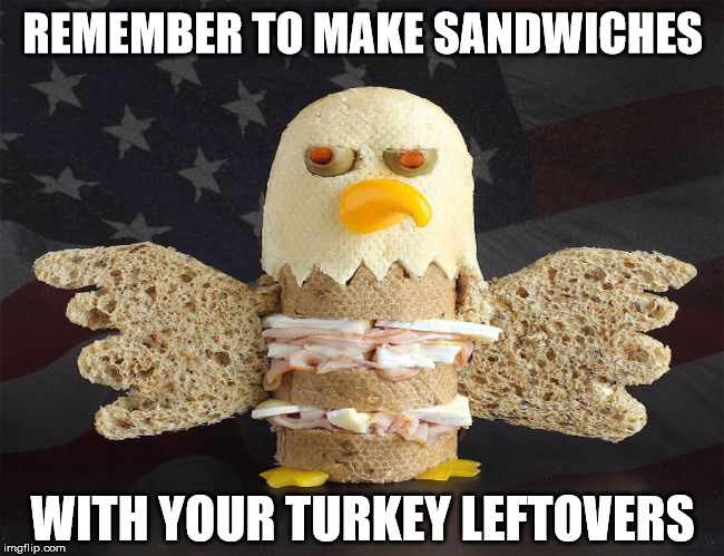 The sandwich then will taste like eagles, 'Merica. | REMEMBER TO MAKE SANDWICHES; WITH YOUR TURKEY LEFTOVERS | image tagged in sandwich,eagle,happy thanksgiving | made w/ Imgflip meme maker