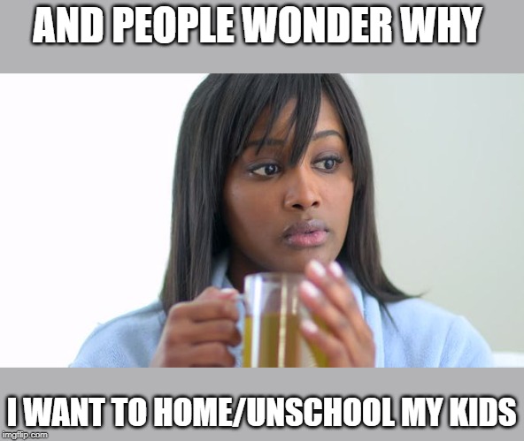 AND PEOPLE WONDER WHY I WANT TO HOME/UNSCHOOL MY KIDS | made w/ Imgflip meme maker