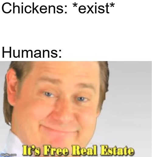 Chickens get eaten by humans! :v | Chickens: *exist*; Humans: | image tagged in it's free real estate,memes,funny,chicken | made w/ Imgflip meme maker