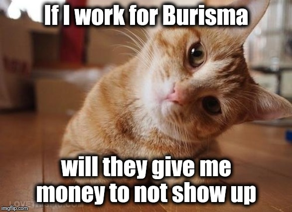 Curious Question Cat | If I work for Burisma will they give me money to not show up | image tagged in curious question cat | made w/ Imgflip meme maker