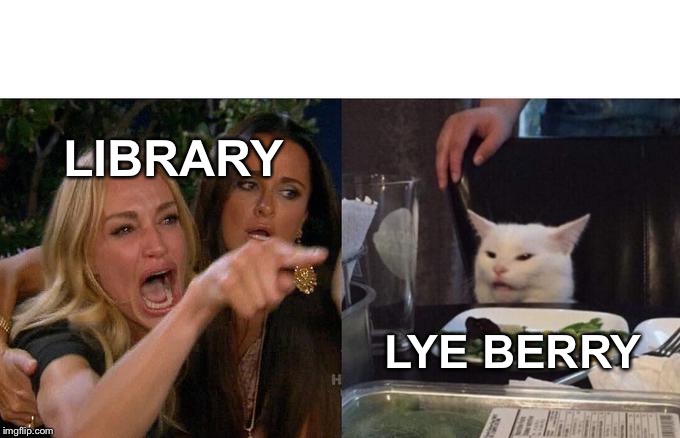 Woman Yelling At Cat | LIBRARY; LYE BERRY | image tagged in memes,woman yelling at cat | made w/ Imgflip meme maker