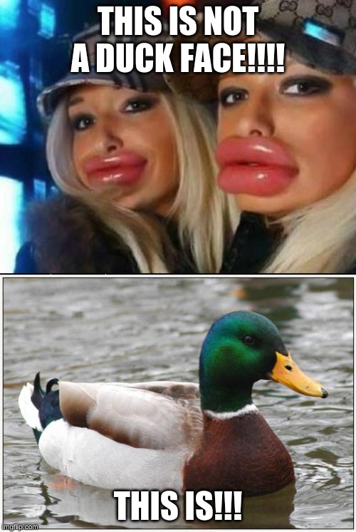 THIS IS NOT A DUCK FACE!!!! THIS IS!!! | image tagged in memes,duck face chicks,actual advice mallard | made w/ Imgflip meme maker
