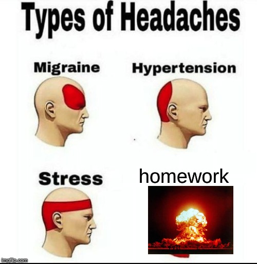 Types of Headaches meme | homework | image tagged in types of headaches meme | made w/ Imgflip meme maker