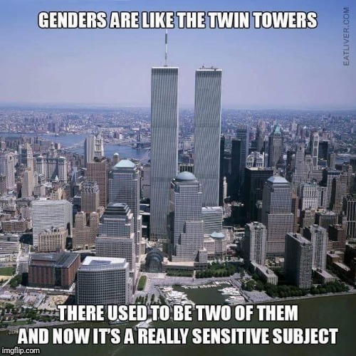 [Nobody liked that] | image tagged in memes,twin towers,911,dark humor,was told to post it here | made w/ Imgflip meme maker