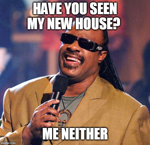 HAVE YOU SEEN MY NEW HOUSE? ME NEITHER | image tagged in stevie wonder,funny,memes | made w/ Imgflip meme maker