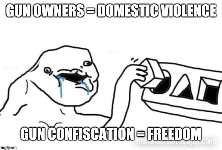 GUN OWNERS = DOMESTIC VIOLENCE GUN CONFISCATION = FREEDOM | made w/ Imgflip meme maker