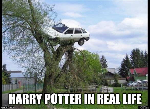Secure Parking | HARRY POTTER IN REAL LIFE | image tagged in memes,secure parking | made w/ Imgflip meme maker
