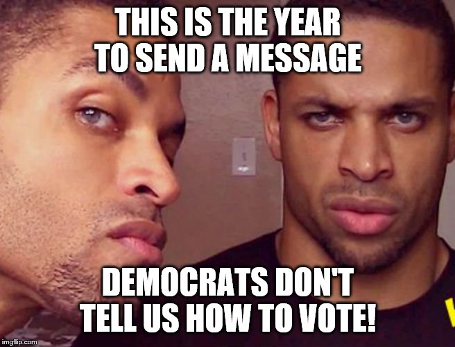 Blacks Against Democrat Oppression! | THIS IS THE YEAR TO SEND A MESSAGE; DEMOCRATS DON'T TELL US HOW TO VOTE! | image tagged in hodge twins,memes | made w/ Imgflip meme maker