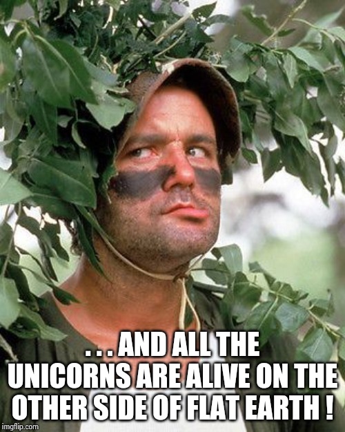 Bill Murray camouflaged | . . . AND ALL THE UNICORNS ARE ALIVE ON THE OTHER SIDE OF FLAT EARTH ! | image tagged in bill murray camouflaged | made w/ Imgflip meme maker