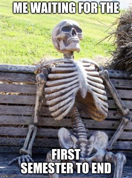Waiting Skeleton | ME WAITING FOR THE; FIRST SEMESTER TO END | image tagged in memes,waiting skeleton | made w/ Imgflip meme maker