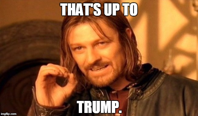 One Does Not Simply Meme | THAT'S UP TO TRUMP. | image tagged in memes,one does not simply | made w/ Imgflip meme maker