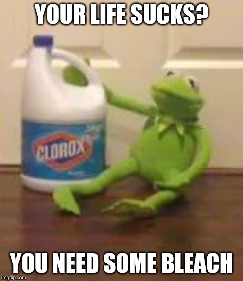 kermit bleach | YOUR LIFE SUCKS? YOU NEED SOME BLEACH | image tagged in kermit bleach | made w/ Imgflip meme maker