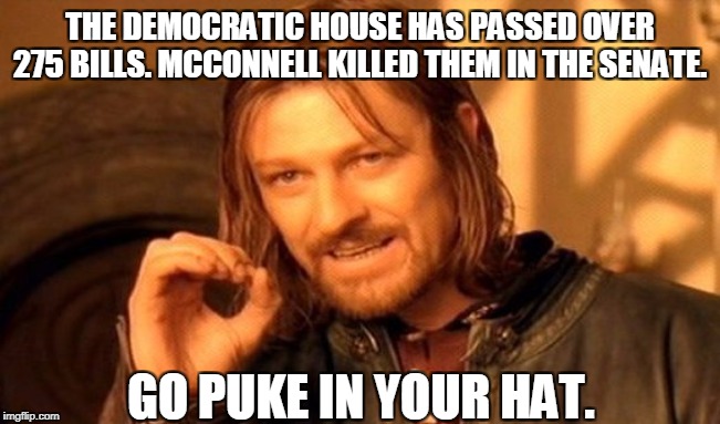 One Does Not Simply Meme | THE DEMOCRATIC HOUSE HAS PASSED OVER 275 BILLS. MCCONNELL KILLED THEM IN THE SENATE. GO PUKE IN YOUR HAT. | image tagged in memes,one does not simply | made w/ Imgflip meme maker