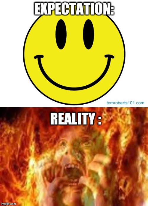 EXPECTATION:; REALITY : | image tagged in smiley face | made w/ Imgflip meme maker