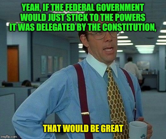 That Would Be Great | YEAH, IF THE FEDERAL GOVERNMENT WOULD JUST STICK TO THE POWERS IT WAS DELEGATED BY THE CONSTITUTION, THAT WOULD BE GREAT | image tagged in memes,that would be great | made w/ Imgflip meme maker