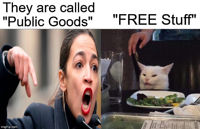 AOC Yelling At Cat | They are called "Public Goods"; "FREE Stuff" | image tagged in memes,woman yelling at cat,crazy alexandria ocasio-cortez,free stuff,mexican word of the day,but thats none of my business | made w/ Imgflip meme maker
