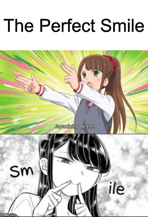 Perfection! | The Perfect Smile | image tagged in komi-san smile,memes,anime,japanizing beam,smile,perfect | made w/ Imgflip meme maker