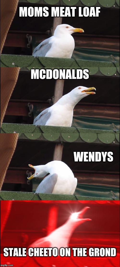 Inhaling Seagull | MOMS MEAT LOAF; MCDONALDS; WENDYS; STALE CHEETO ON THE GROND | image tagged in memes,inhaling seagull | made w/ Imgflip meme maker