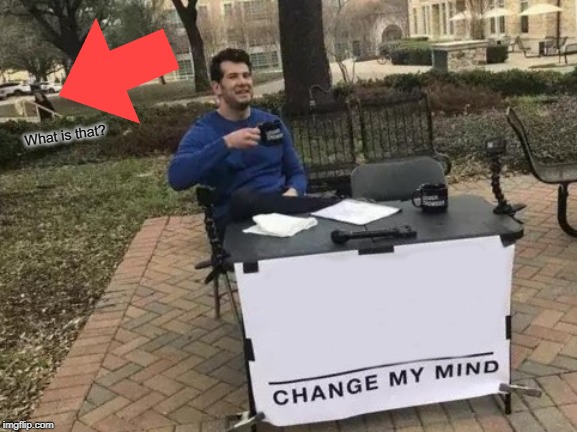 Whats that | What is that? | image tagged in memes,change my mind,weird background thing | made w/ Imgflip meme maker
