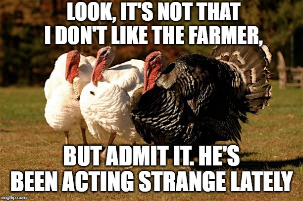 strange farmer | LOOK, IT'S NOT THAT I DON'T LIKE THE FARMER, BUT ADMIT IT. HE'S BEEN ACTING STRANGE LATELY | image tagged in animals | made w/ Imgflip meme maker