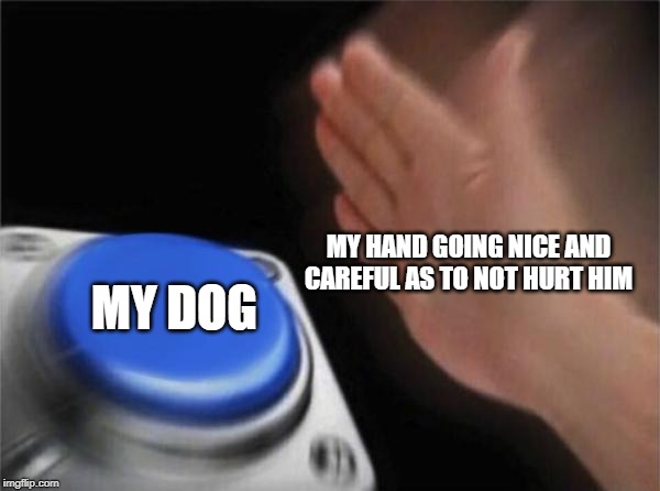 Blank Nut Button Meme | MY HAND GOING NICE AND CAREFUL AS TO NOT HURT HIM; MY DOG | image tagged in memes,blank nut button | made w/ Imgflip meme maker