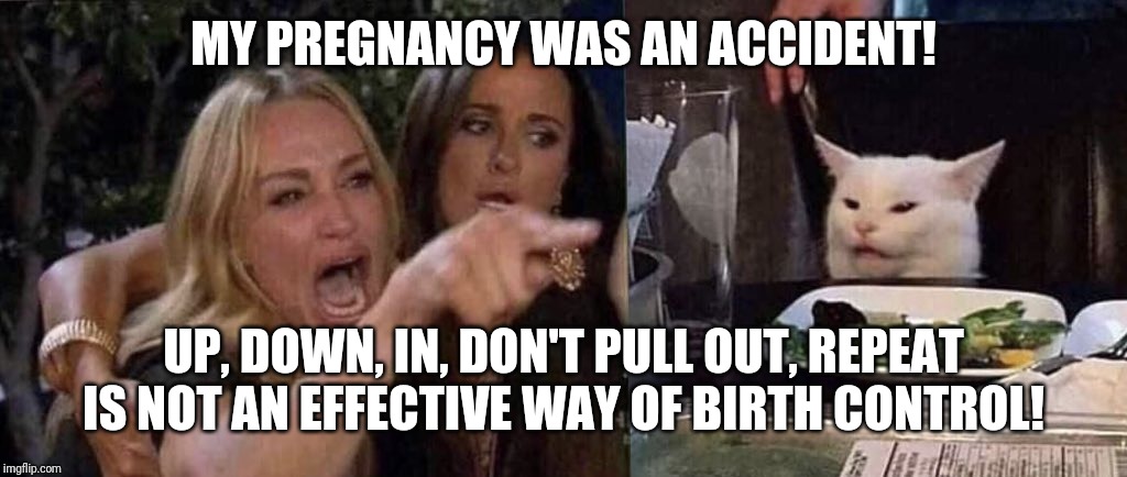 woman yelling at cat | MY PREGNANCY WAS AN ACCIDENT! UP, DOWN, IN, DON'T PULL OUT, REPEAT IS NOT AN EFFECTIVE WAY OF BIRTH CONTROL! | image tagged in woman yelling at cat | made w/ Imgflip meme maker