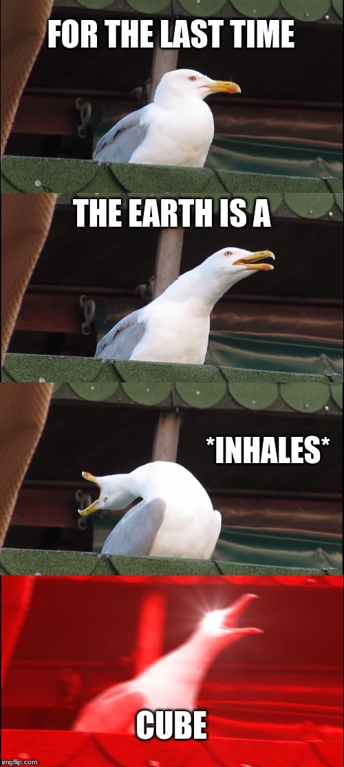 Inhaling Seagull | FOR THE LAST TIME; THE EARTH IS A; *INHALES*; CUBE | image tagged in memes,inhaling seagull | made w/ Imgflip meme maker