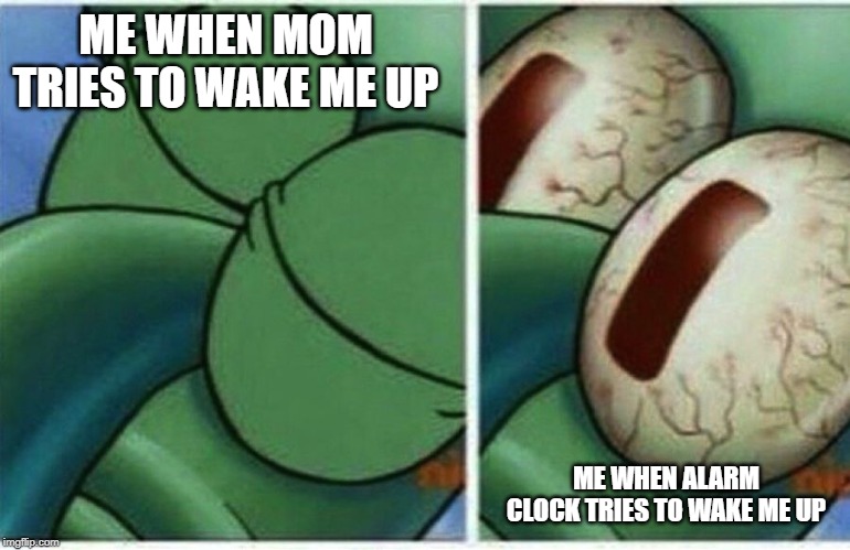 Squidward | ME WHEN MOM TRIES TO WAKE ME UP ME WHEN ALARM CLOCK TRIES TO WAKE ME UP | image tagged in squidward | made w/ Imgflip meme maker