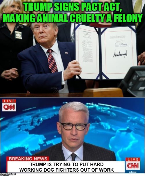 And suddenly liberals are pro-animal torture... | TRUMP SIGNS PACT ACT, MAKING ANIMAL CRUELTY A FELONY; TRUMP IS TRYING TO PUT HARD WORKING DOG FIGHTERS OUT OF WORK | image tagged in donald trump,signs act,animal cruelty,msm,felony,memes | made w/ Imgflip meme maker