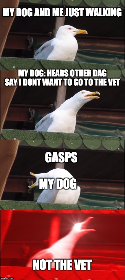Inhaling Seagull Meme | MY DOG AND ME JUST WALKING; MY DOG: HEARS OTHER DAG SAY I DONT WANT TO GO TO THE VET; GASPS; MY DOG; NOT THE VET | image tagged in memes,inhaling seagull | made w/ Imgflip meme maker
