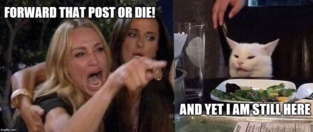 woman yelling at cat | FORWARD THAT POST OR DIE! AND YET I AM STILL HERE | image tagged in woman yelling at cat | made w/ Imgflip meme maker