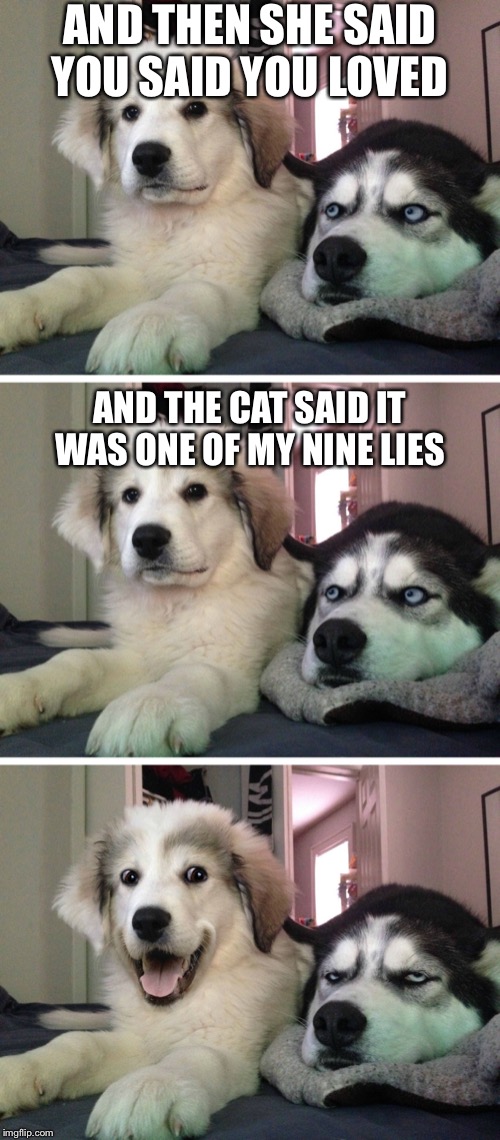 Bad pun dogs | AND THEN SHE SAID YOU SAID YOU LOVED AND THE CAT SAID IT WAS ONE OF MY NINE LIES | image tagged in bad pun dogs | made w/ Imgflip meme maker