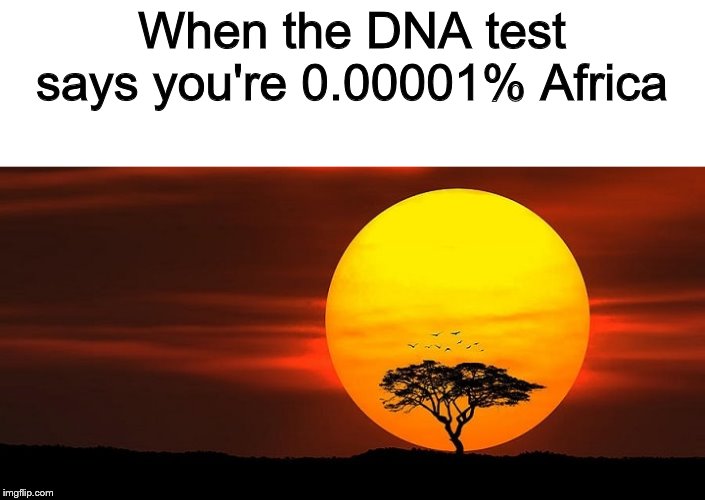 If y'all don't get this I swear- | When the DNA test says you're 0.00001% Africa | image tagged in circle of life,the lion king,africa,dna | made w/ Imgflip meme maker
