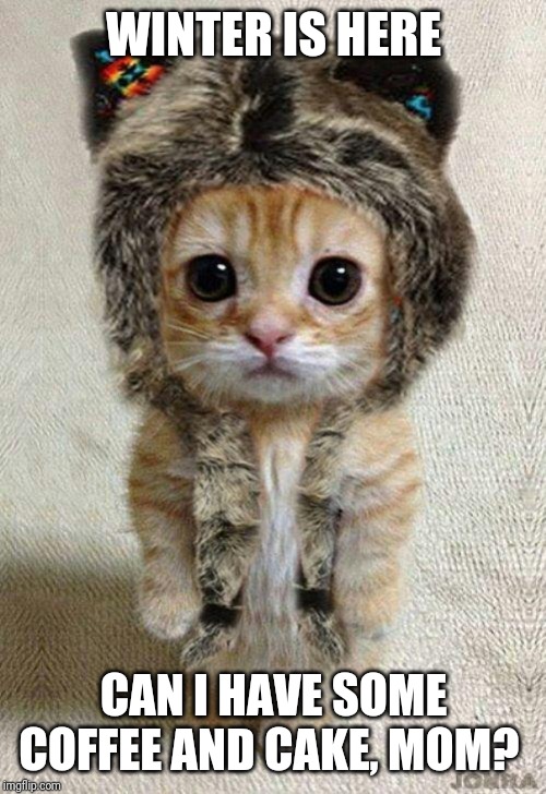 cute kitty likes metal | WINTER IS HERE; CAN I HAVE SOME COFFEE AND CAKE, MOM? | image tagged in cute kitty likes metal | made w/ Imgflip meme maker